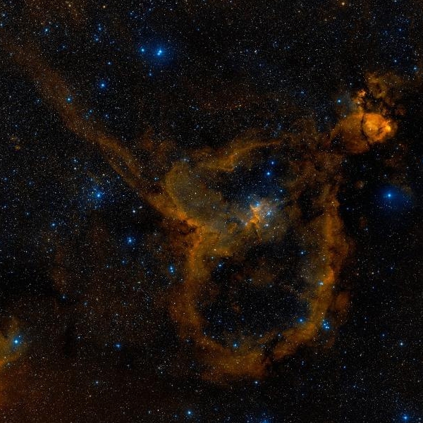 ic1805.jpg