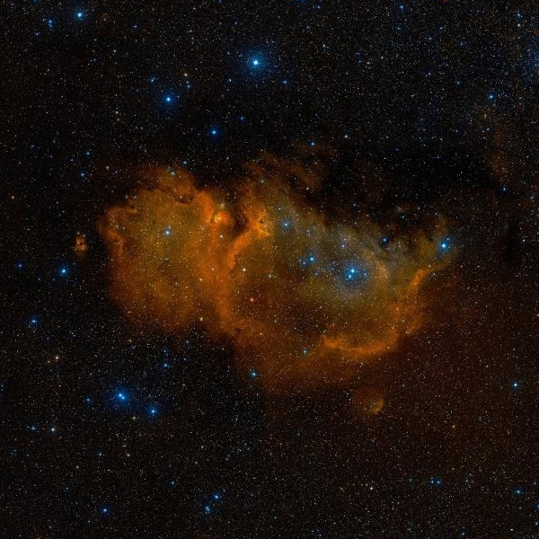 ic1848.jpg