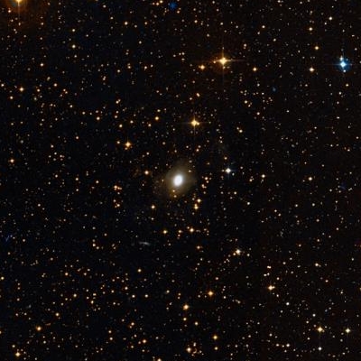 2865.jpg