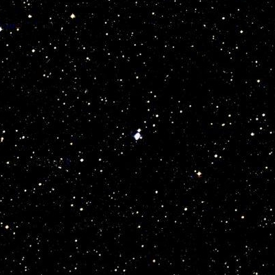 6309.jpg