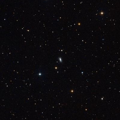 2764.jpg