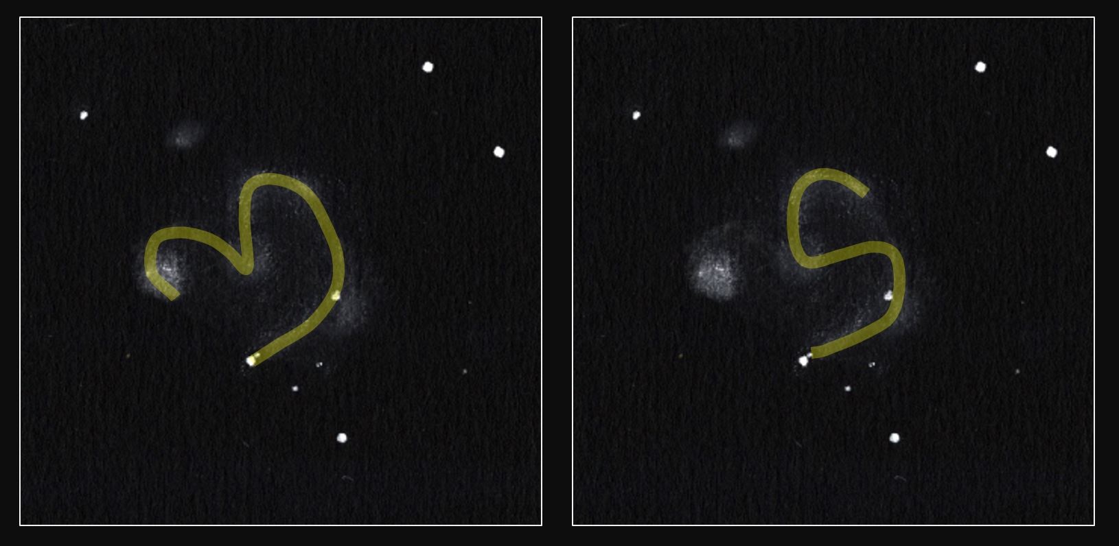 NGC2079 Heart S.JPG