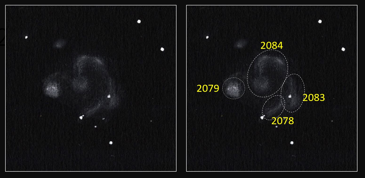 NGC2079&Desc.JPG