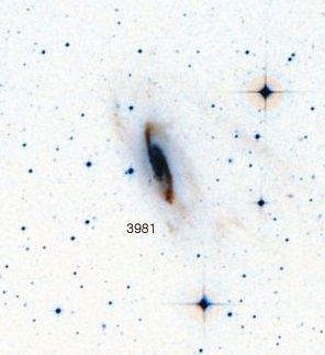NGC-3981.jpg