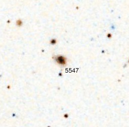 NGC-5547.jpg