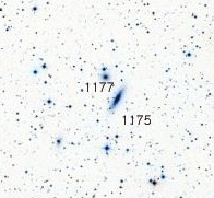 NGC-1175.jpg