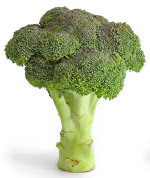 s_broccoli.jpg
