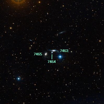 7463, 64, 65.jpg