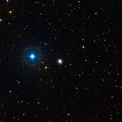 7625.jpg