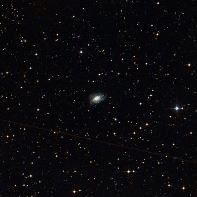 3464.jpg