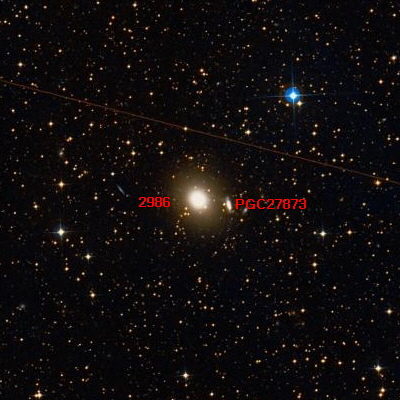 2986.jpg