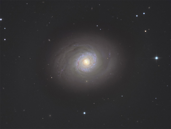 m94.jpg