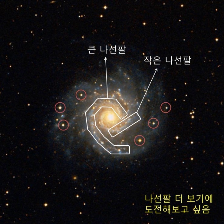 m74(0.3).jpg