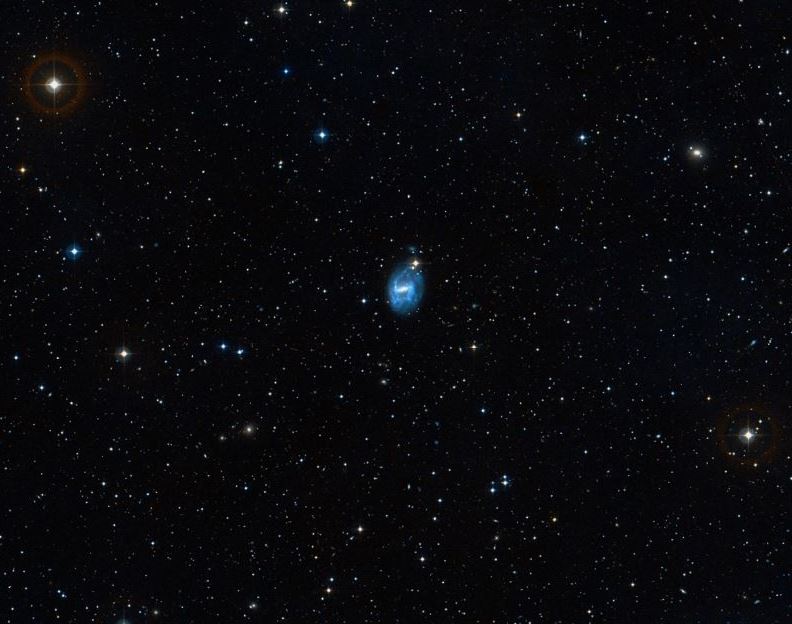 7741.JPG