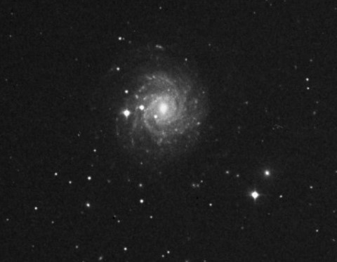 NGC_3344.jpg
