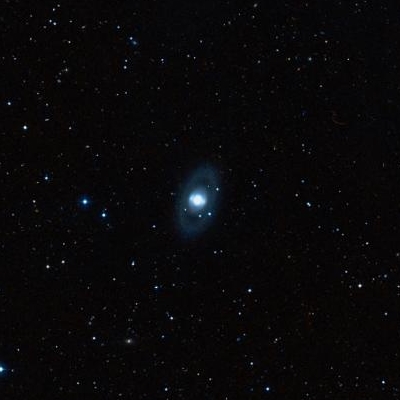 3945.jpg