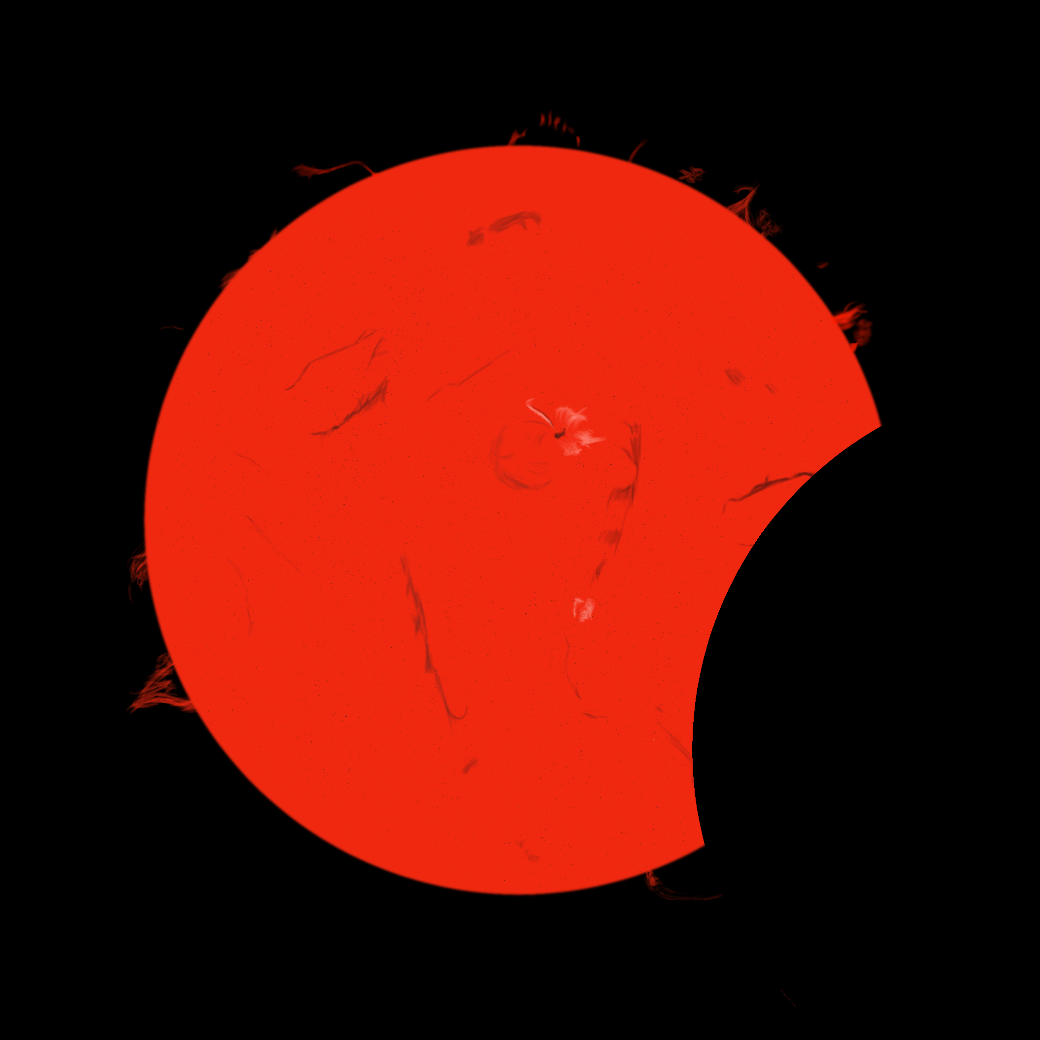 2024 TSE 240408 (9 1502).jpg