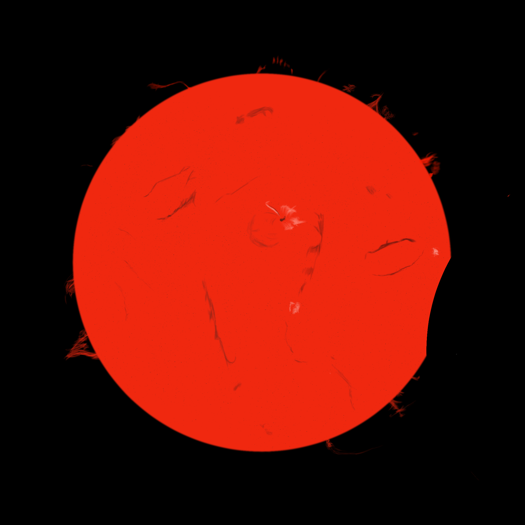 2024 TSE 240408 (10 1514).jpg