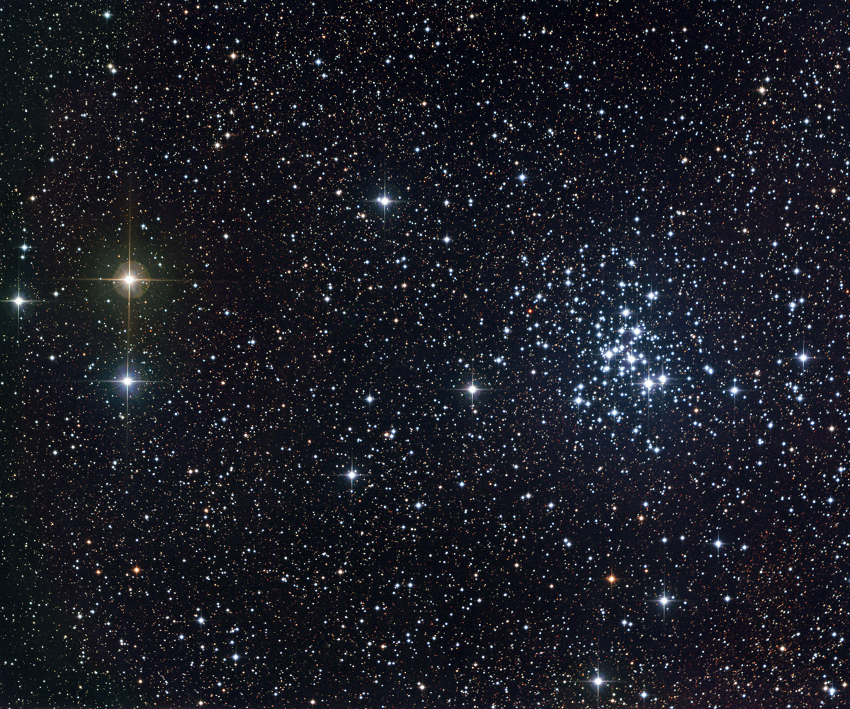 NGC6231.jpg