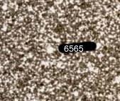NGC-6565.jpg