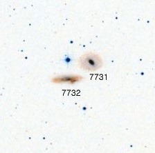 NGC-7731.jpg