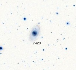 NGC-7428.jpg
