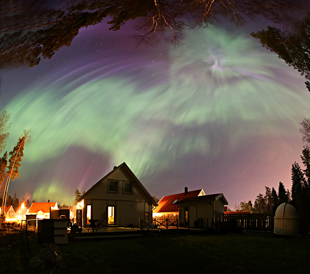 AuroraBackyardHeden.jpg