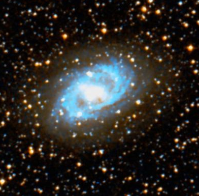 NGC 6300.PNG