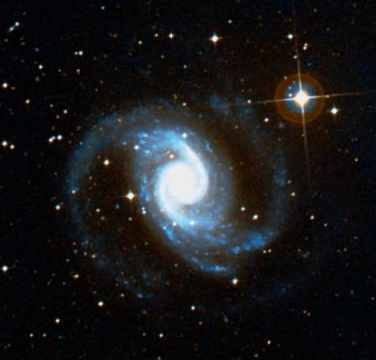 NGC 1566.PNG