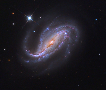 NGC 613.PNG