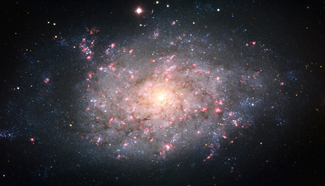 NGC 7793.PNG
