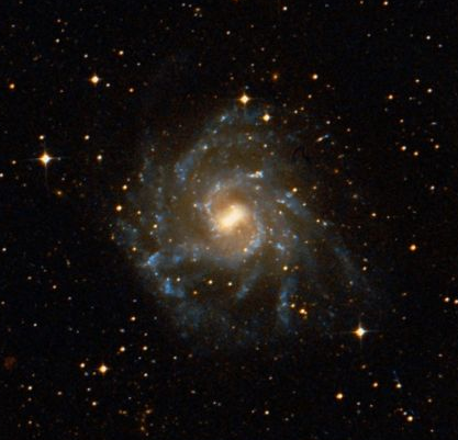 NGC 7424.PNG