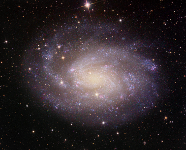 NGC 300.PNG