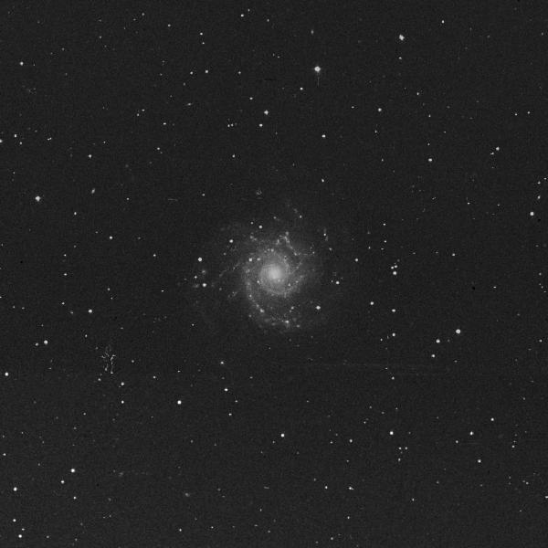 m74.jpg