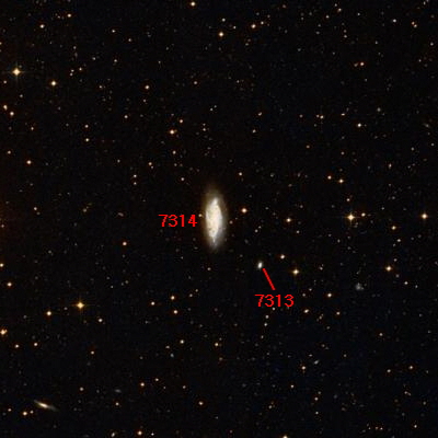 7314.jpg