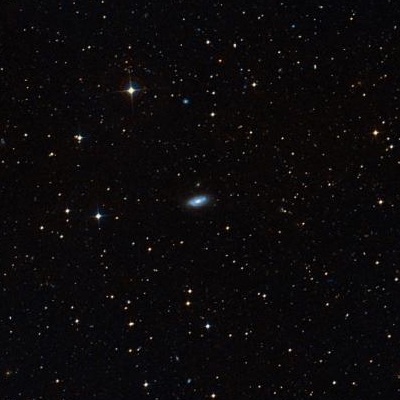 7163.jpg