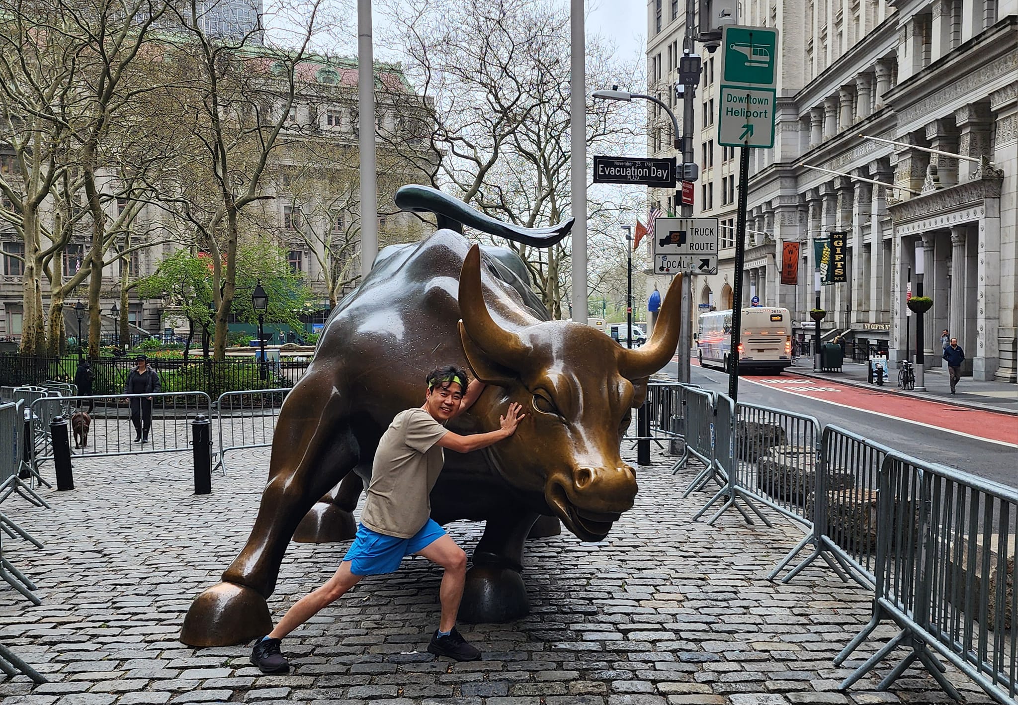 bulls.jpg