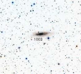 NGC-1003.jpg