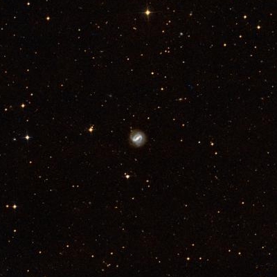 175.jpg