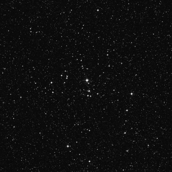 6087.jpg