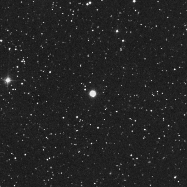 skv930809022164.jpg