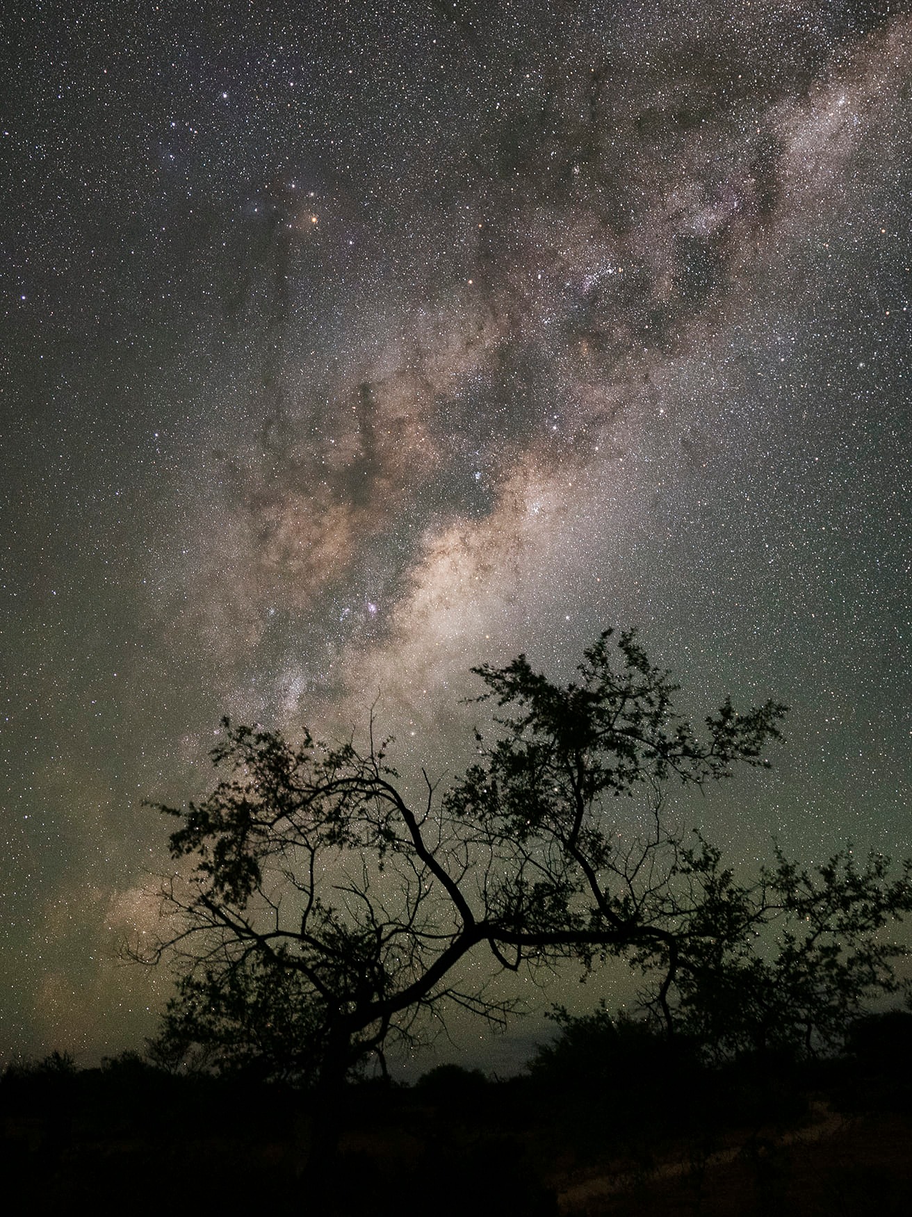 Milkyway Hamelin.jpg