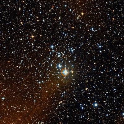 2353.jpg