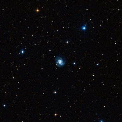 3162.jpg