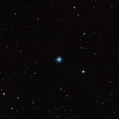3687.jpg