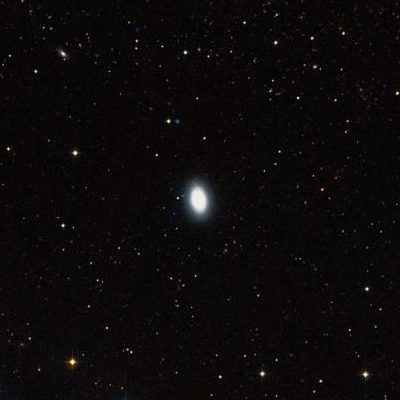 3941.jpg