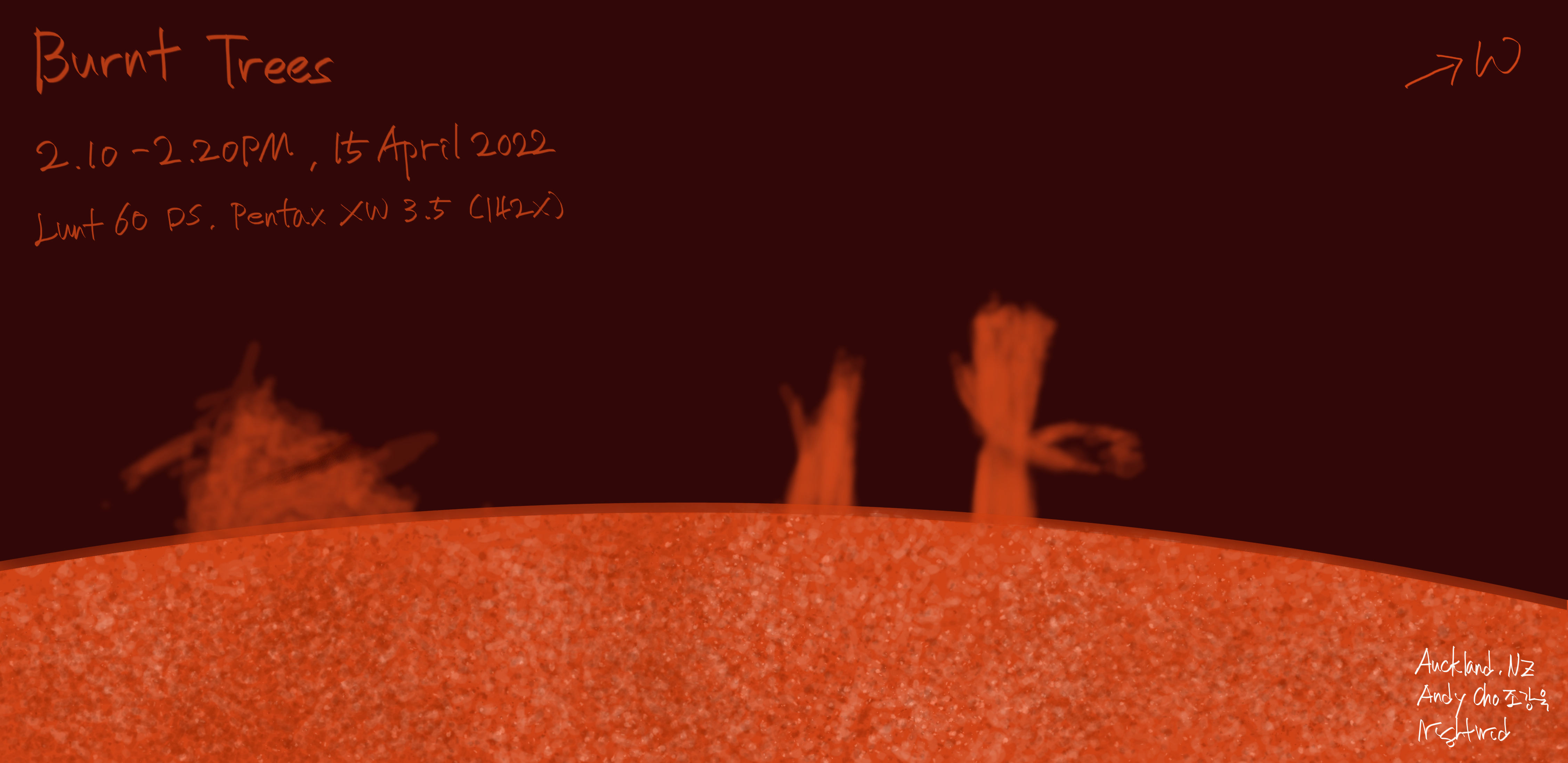 Burnt trees 15 April 2022.png