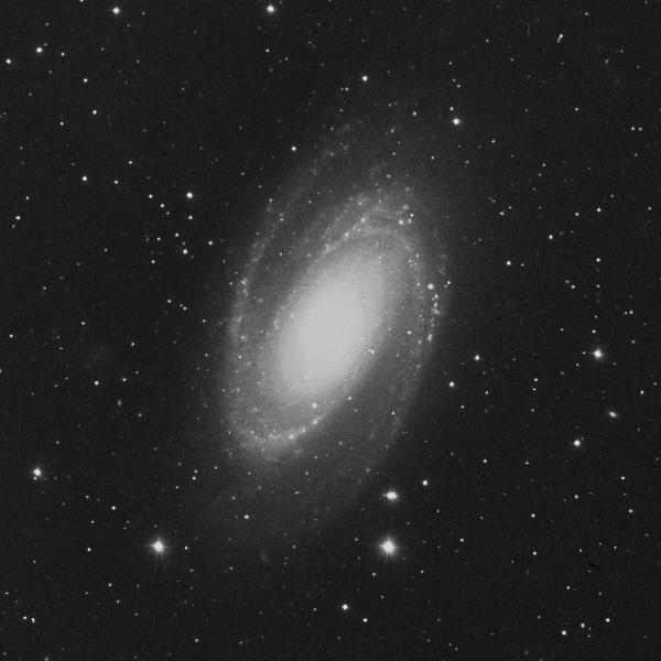 m81.jpg