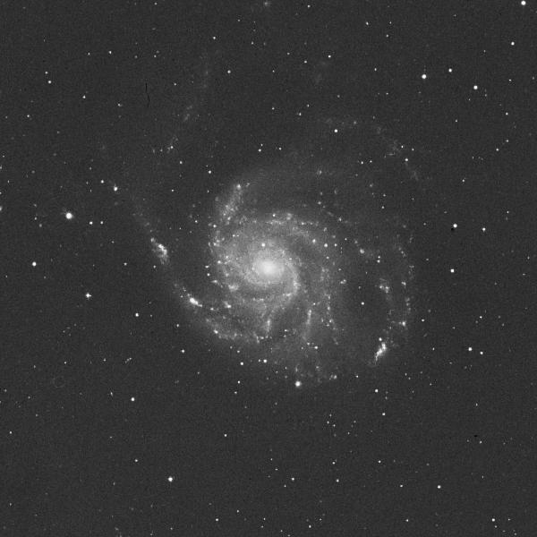 m101.jpg