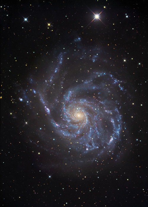 M101NMSS.jpg